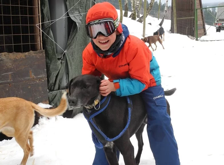 Mushing - jízda psím spřežením v Krkonoších