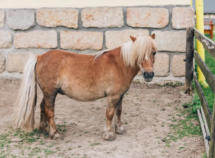 Golfový balíček s ubytováním pro dva
