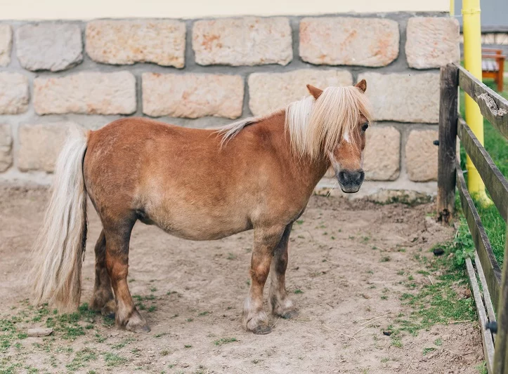 Golfový balíček s ubytováním pro dva
