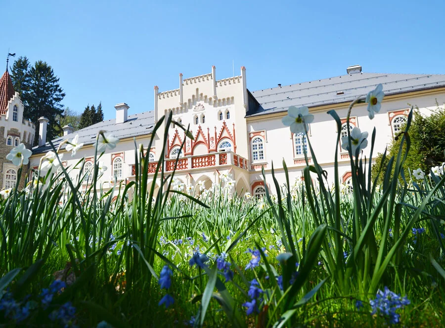 Líbánky na zámku Chateau Herálec