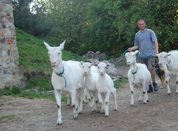 Jeden den farmářem