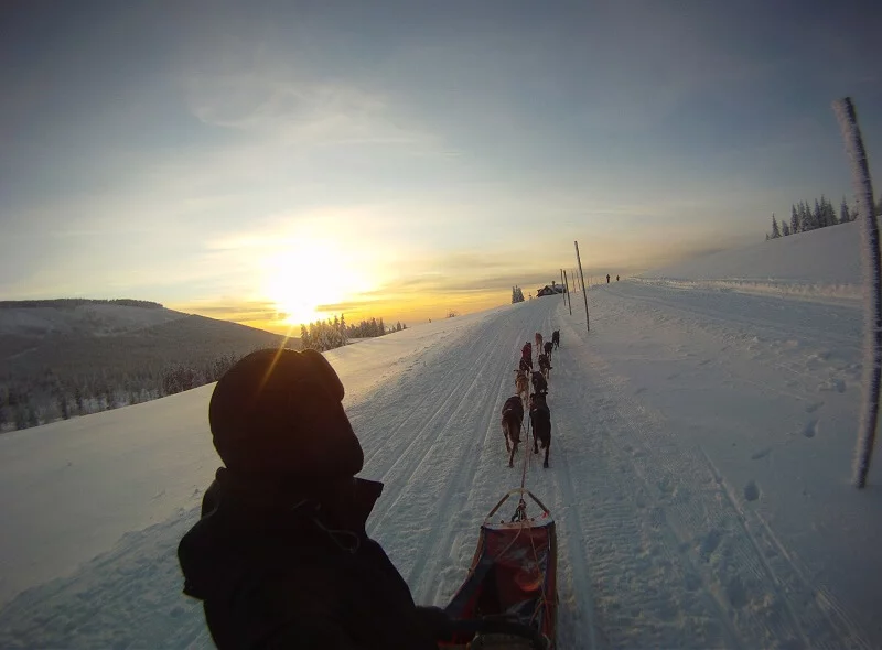 Mushing - jízda psím spřežením v Krkonoších