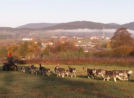 Mushing - jízda se psím spřežením