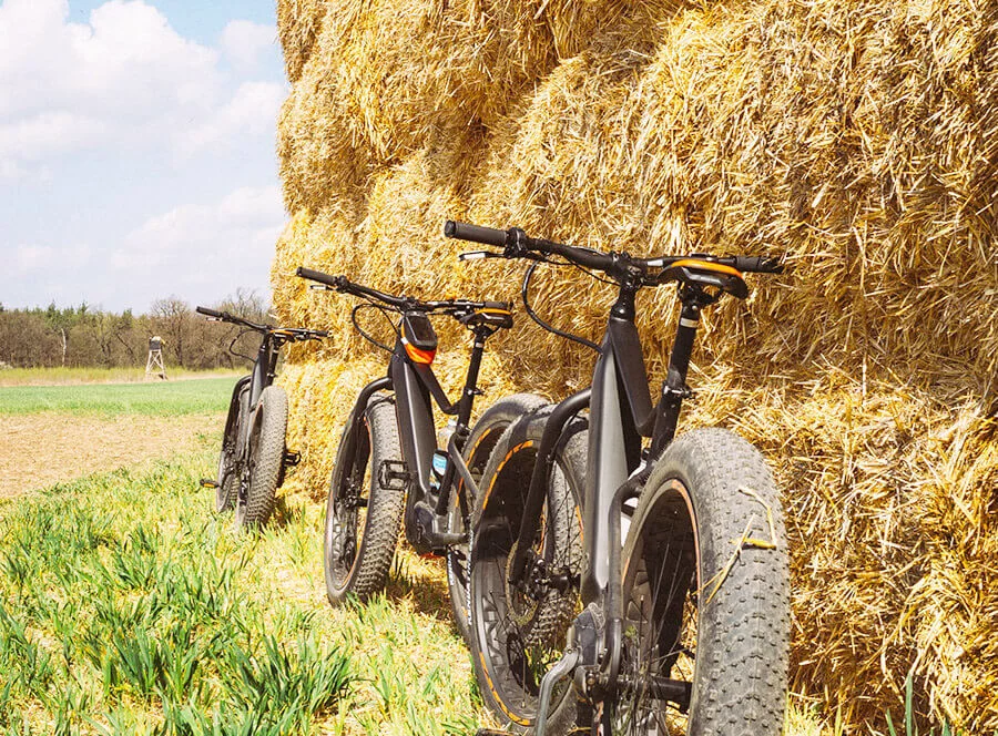 Soukromý cyklovýlet údolím Divoké Šárky