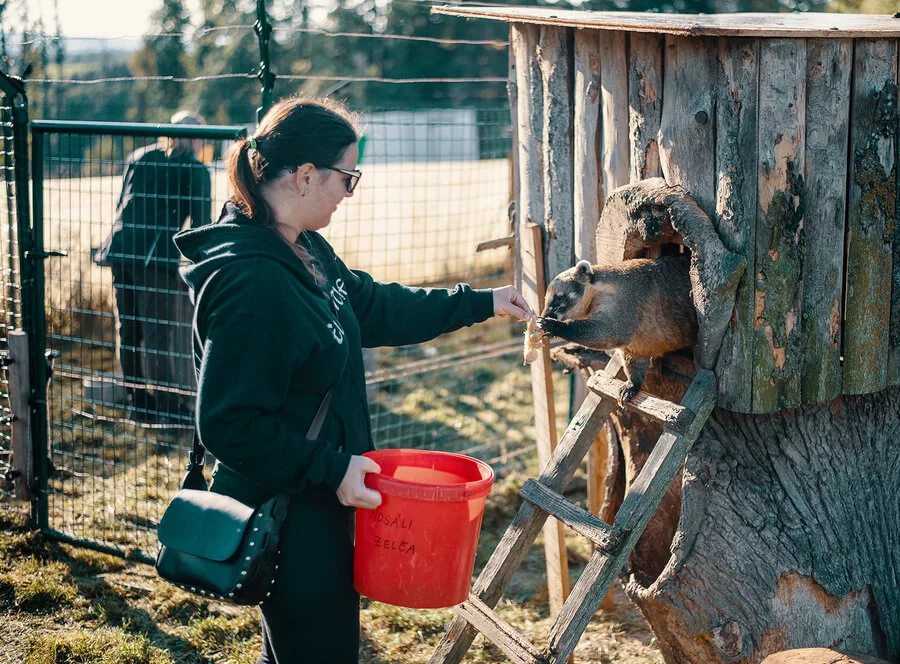 Staňte se ošetřovatelem v ZOO Tábor
