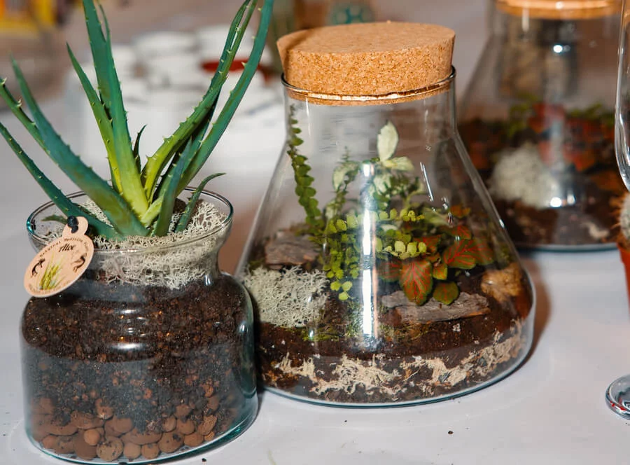 Workshop tvoření mechárií v Praze