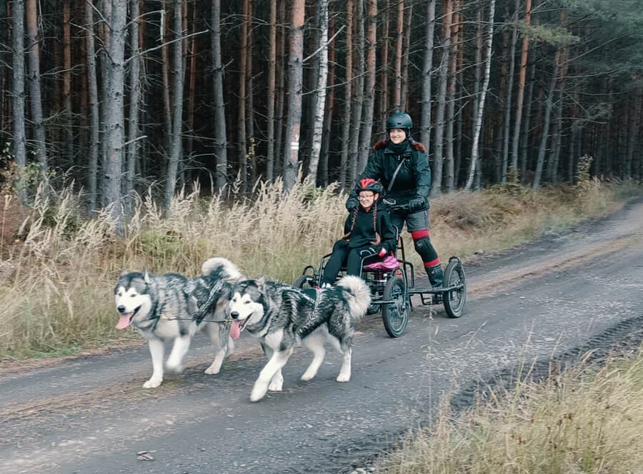 Mushing pro děti – jízda se psím spřežením