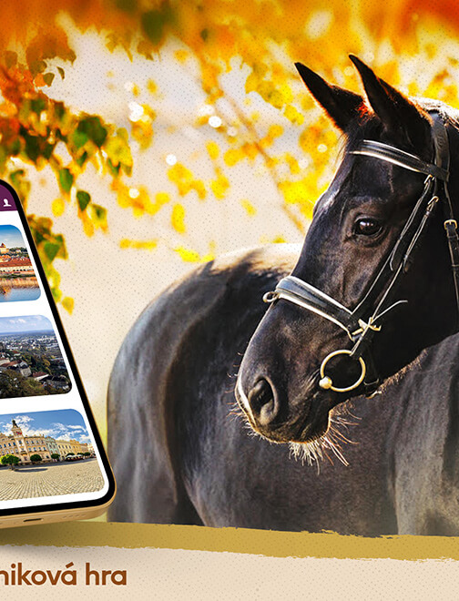 Záhada starého Hradce 